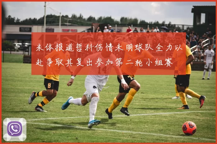 米体报道哲科伤情未明球队全力以赴争取其复出参加第二轮小组赛