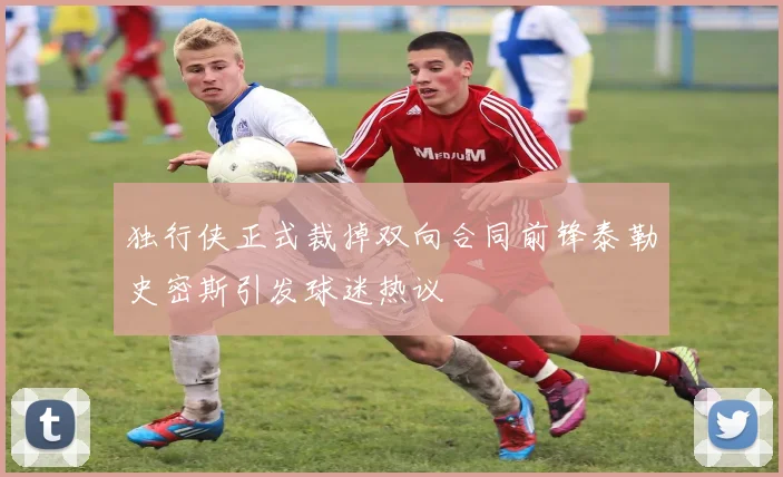 独行侠正式裁掉双向合同前锋泰勒史密斯引发球迷热议